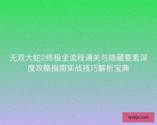 无双大蛇2终极全流程通关与隐藏要素深度攻略指南实战技巧解析宝典